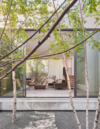Modern glass-walled courtyard with trees and a gravel floor, offering a view into a living room with minimalistic furniture.